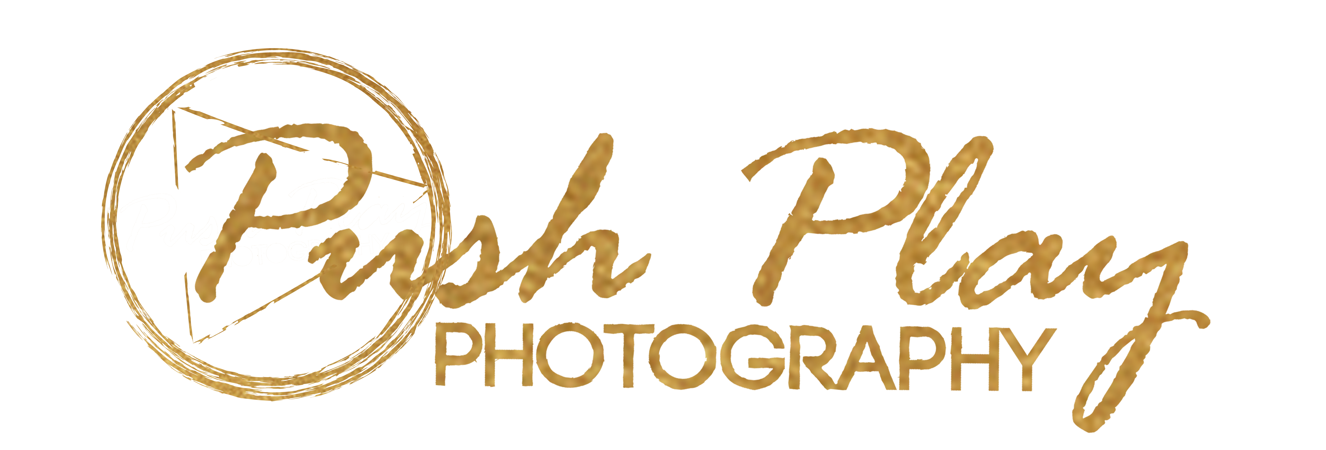 PPP Logo- Gold- horizontal